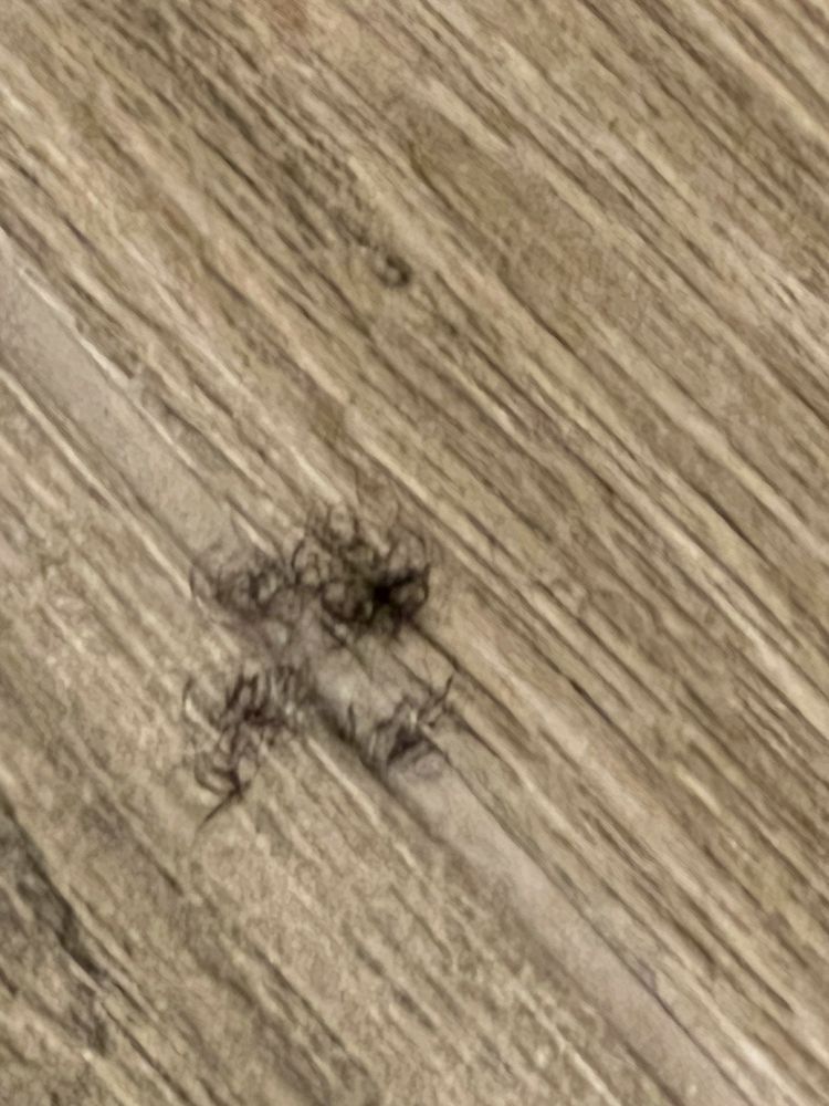 Hampton Inn Henderson