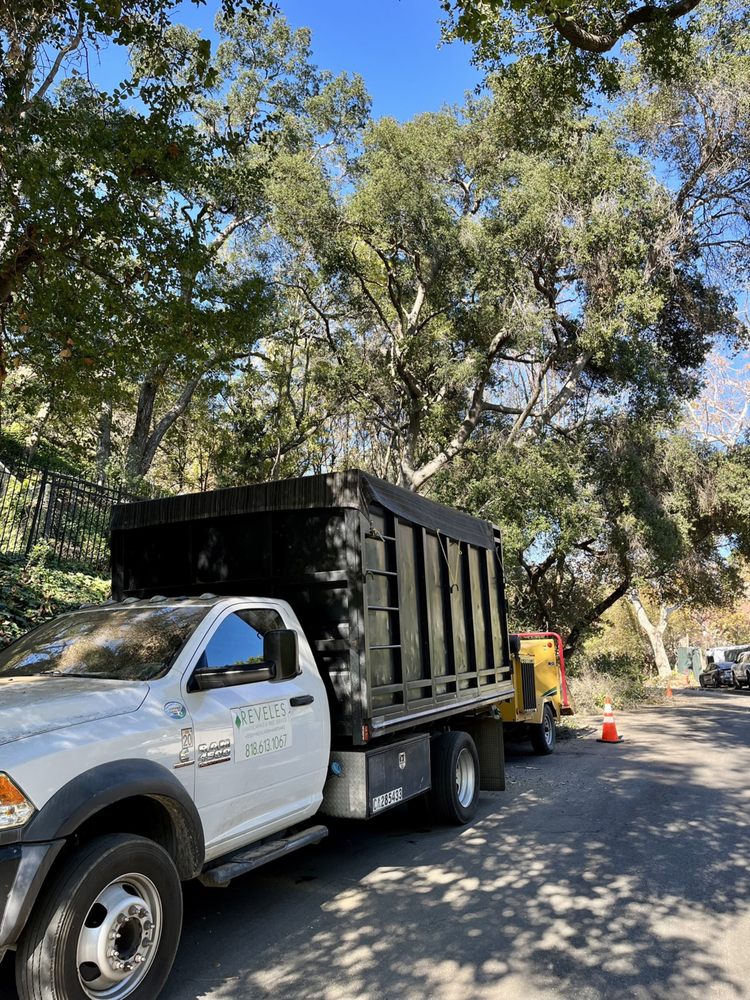 Reveles Tree Service