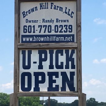 Brown Hill Farm - Do-It-Yourself Food - 6228 Barton-Agricola Rd