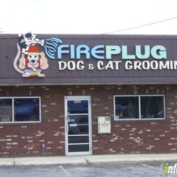 boarding columbus ohio cat grooming boarding 12 photos garde d animaux 6668 pearl boarding columbus ohio cat grooming boarding 12 photos garde d animaux 6668 pearl