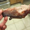 Harold's Ribs