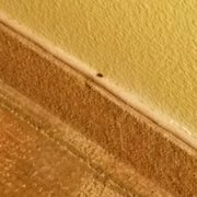 Aspen Hotel Soldotna 13 Photos 17 Reviews Hotels 326 Binkley Photo Of Aspen Hotel Soldotna Ak United States Beware Bedbugs