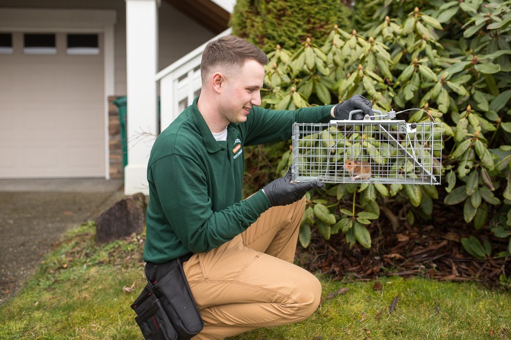 Campbell Natural Pest Control