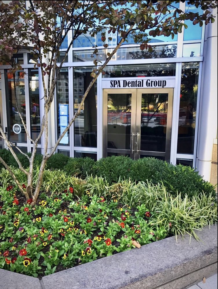 image of business SPA Dental Group