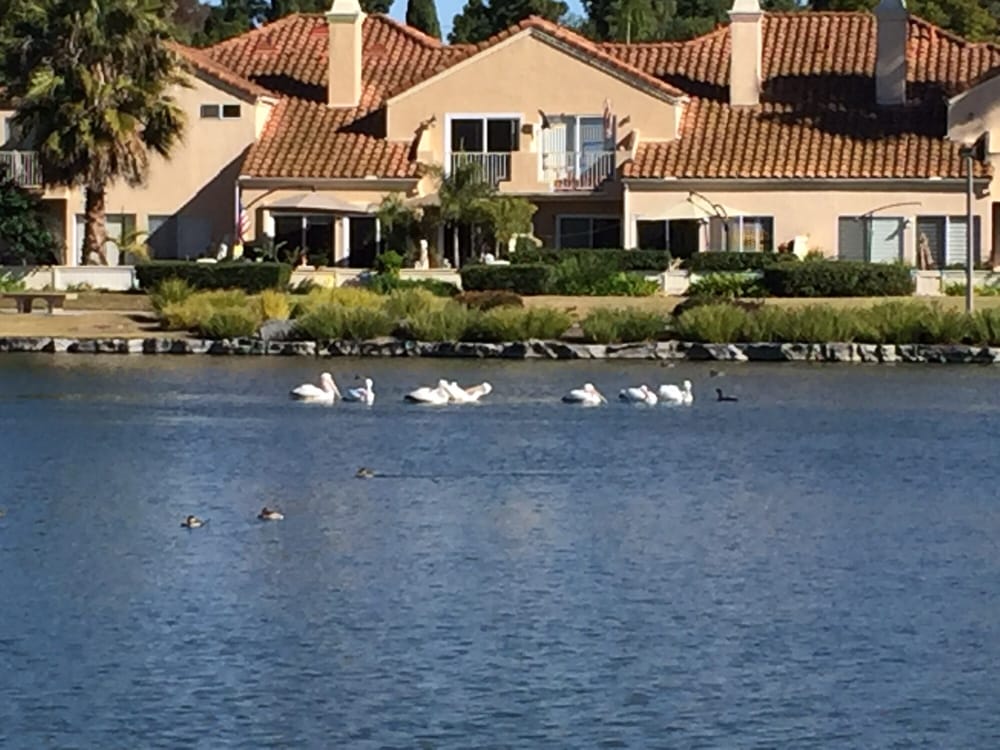 Eastlake Lake 76 Photos & 18 Reviews Lakes Eastlake Drive And
