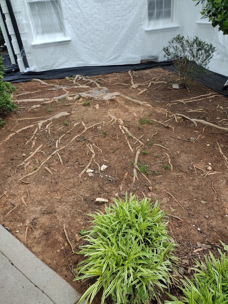 Spaulding Tree Service