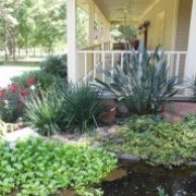 All Seasons Nursery Landscaping Gardeners 2974 Johnston St Photo Of All Seasons Nursery Landscaping Lafayette La United States