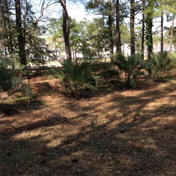 Four Seasons Nursery And Landscaping Nurseries Gardening 8735 Photo Of Four Seasons Nursery And Landscaping Myrtle Beach Sc United States