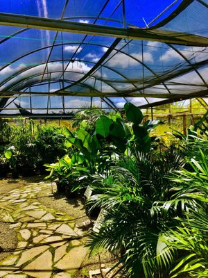 Galloway Farm Nursery 7790 Sw 87th Ave Miami Fl Nurseries Galloway Farm Nursery 7790 Sw 87th Ave Miami Fl Nurseries