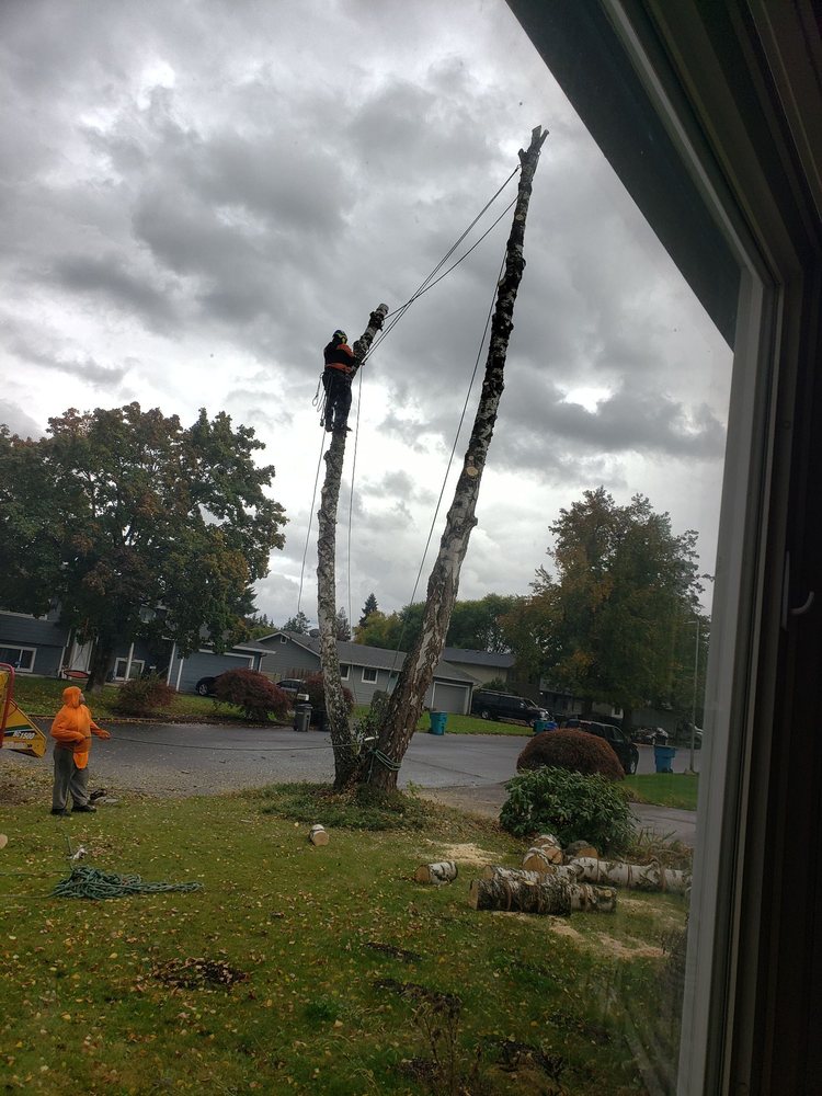 E&S Tree Service