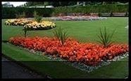 A1A Landscaping