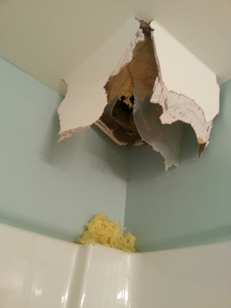 image of business Hareplastering and Drywall