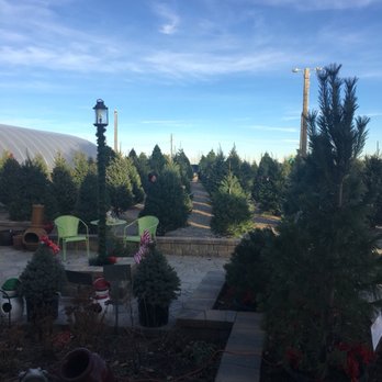 Heidrich S Colorado Tree Farm Nursery 18 Photos 14 Reviews Photo Of Heidrich S Colorado Tree Farm Nursery Springs Co United States