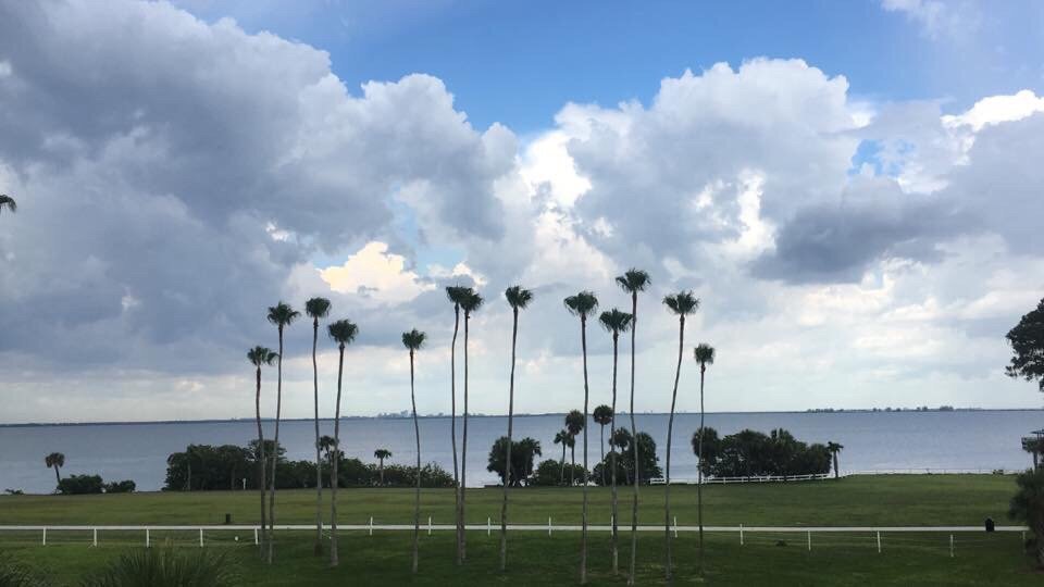 Photo of Safety Harbor Resort And Spa - Safety Harbor, FL, United States