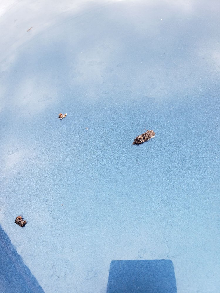 Park'n Fly Valet Parking