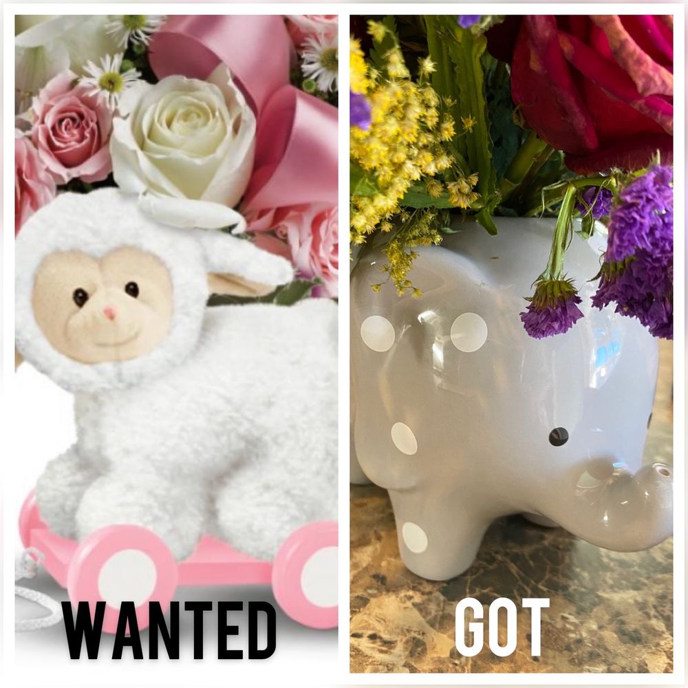 Magical Moments Flowers and Gifts