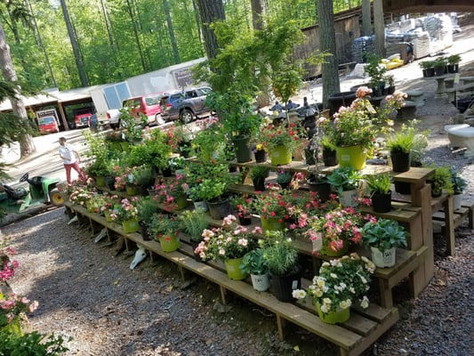 Twin Branch Nursery Landscape 1169 W Wylie Bridge Rd Woodstock Ga Reviews