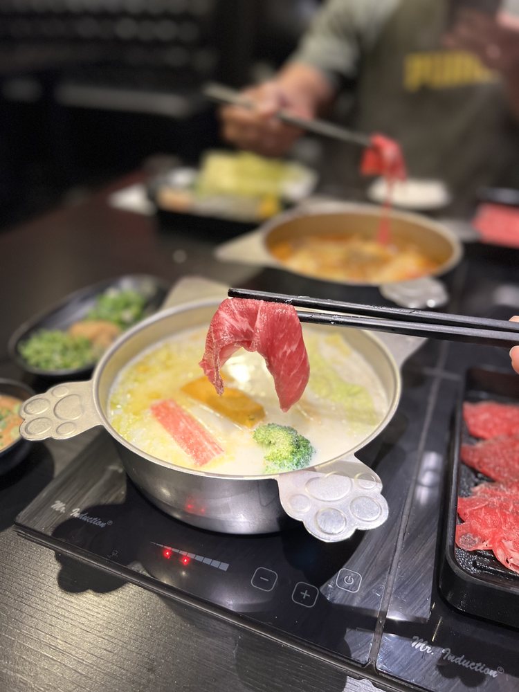 Jazz Cat Fusion Shabu