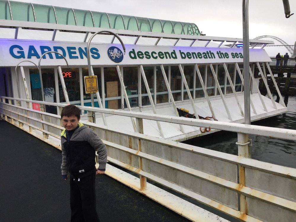 Oregon Undersea Gardens 28 Photos & 57 Reviews Amusement Parks