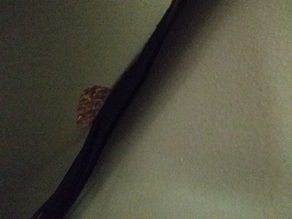 Next Destination Moving