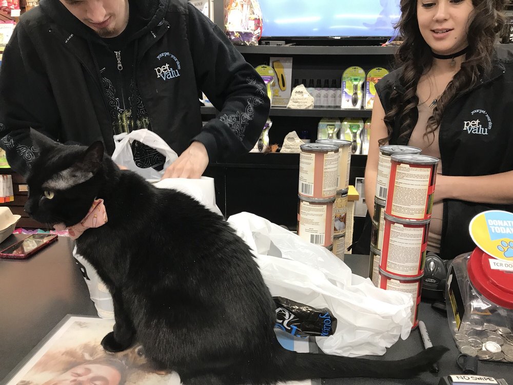 Pet Valu 15 Photos & 13 Reviews Pet Stores 339 College Street