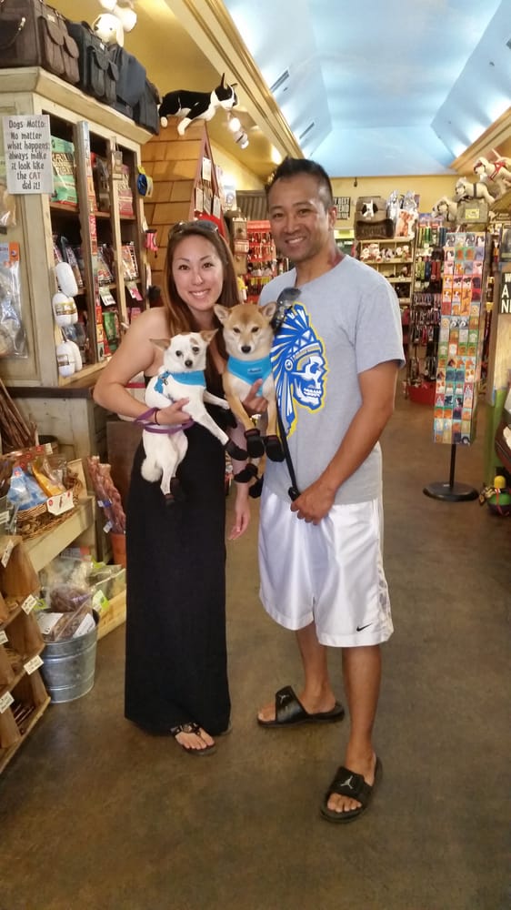Dog Dog Cat 126 Photos & 139 Reviews Pet Stores 4000 Lake Tahoe
