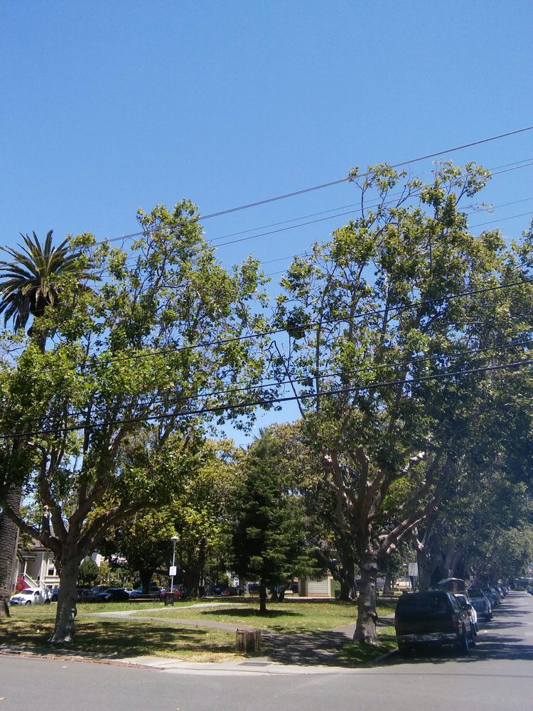 Jackson Park  Parks  2430 Encinal Ave, Alameda, CA  Yelp