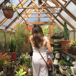 Thicket 34 Photos 47 Reviews Nurseries Gardening 4933 Ne Photo Of Thicket Portland Or United States Very Aesthetic