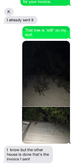 Duke's Tree and Landscape