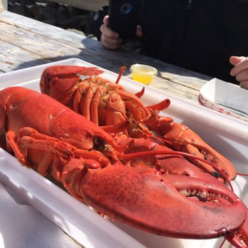 roy moore lobster rockport ma roy moore lobster 340 photos 403 reviews seafood roy moore lobster rockport ma roy moore lobster 340 photos 403 reviews seafood