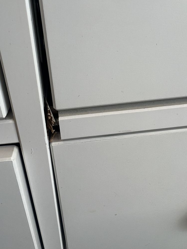 Two Men and a Truck Rock Hill