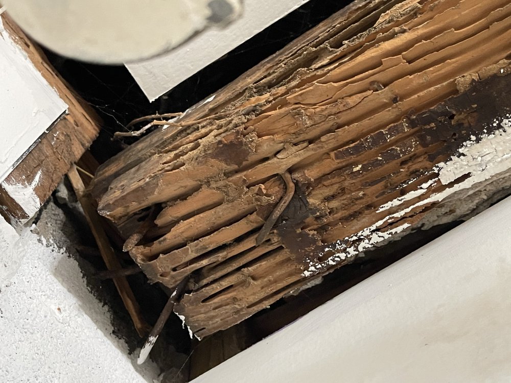 Hawk Mosquito & Pest