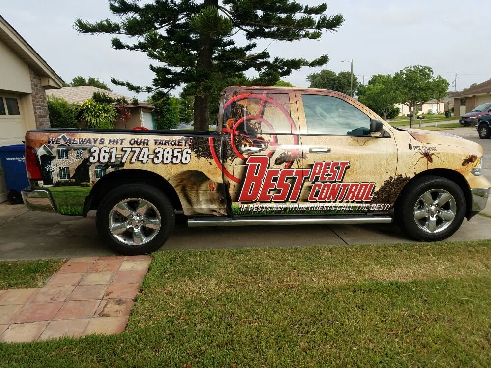 Best Pest Control