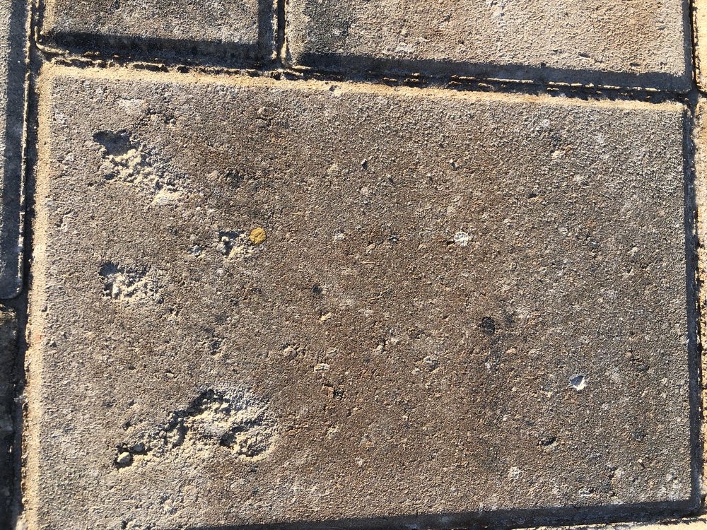 Tampa Bay Pavers