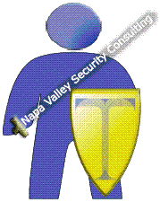 Napa Valley Security Consulting