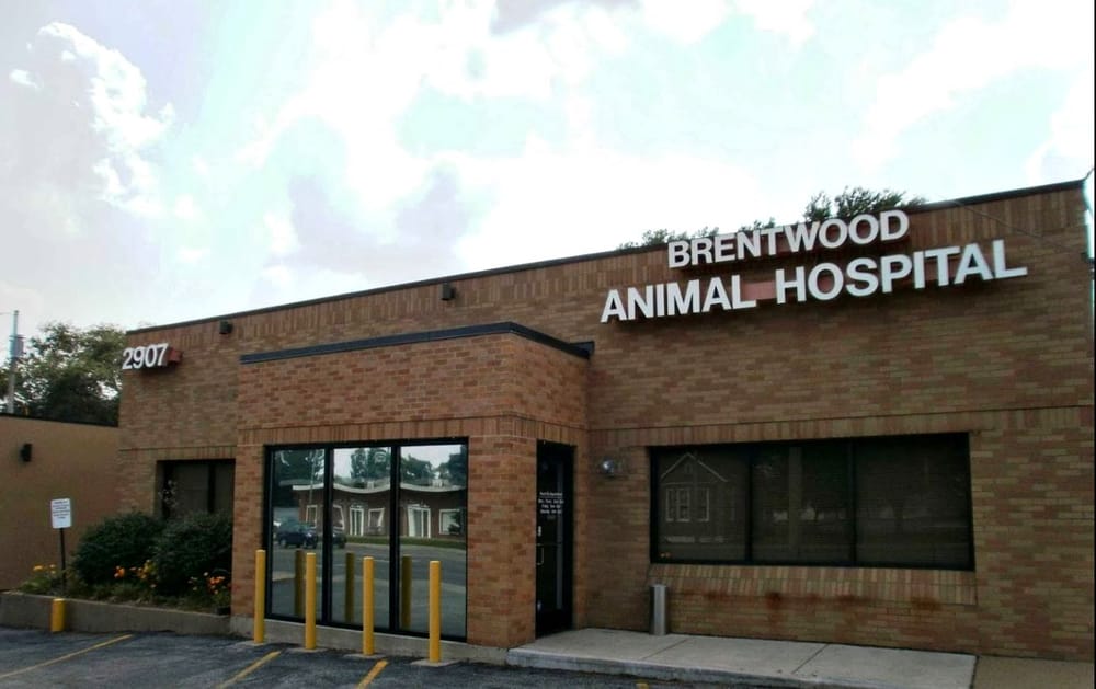 Brentwood Animal Hospital 14 Photos & 16 Reviews Veterinarians