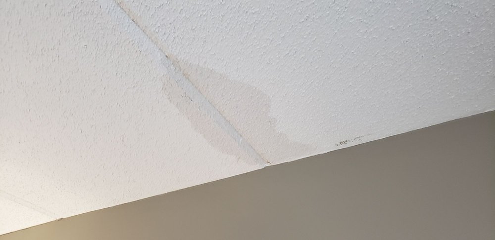 Wingate By Wyndham Greenville