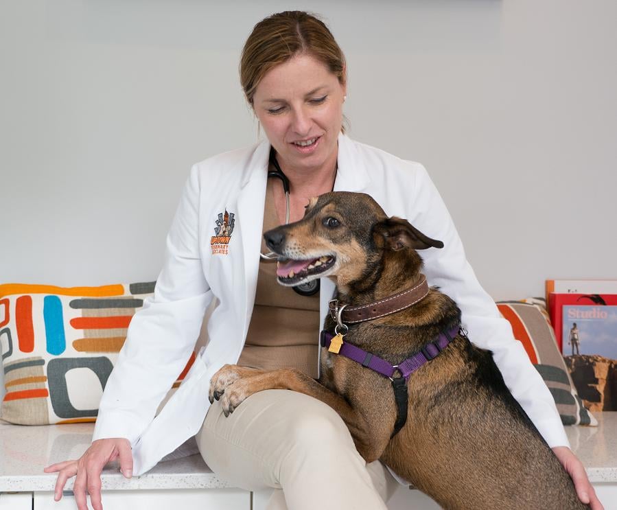Uptown Veterinary Associates 19 Photos & 107 Reviews Veterinarians