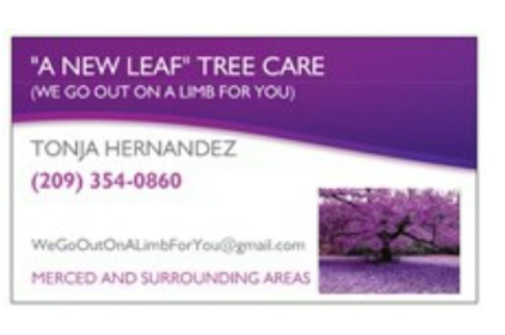 A New Leaf Tree Care