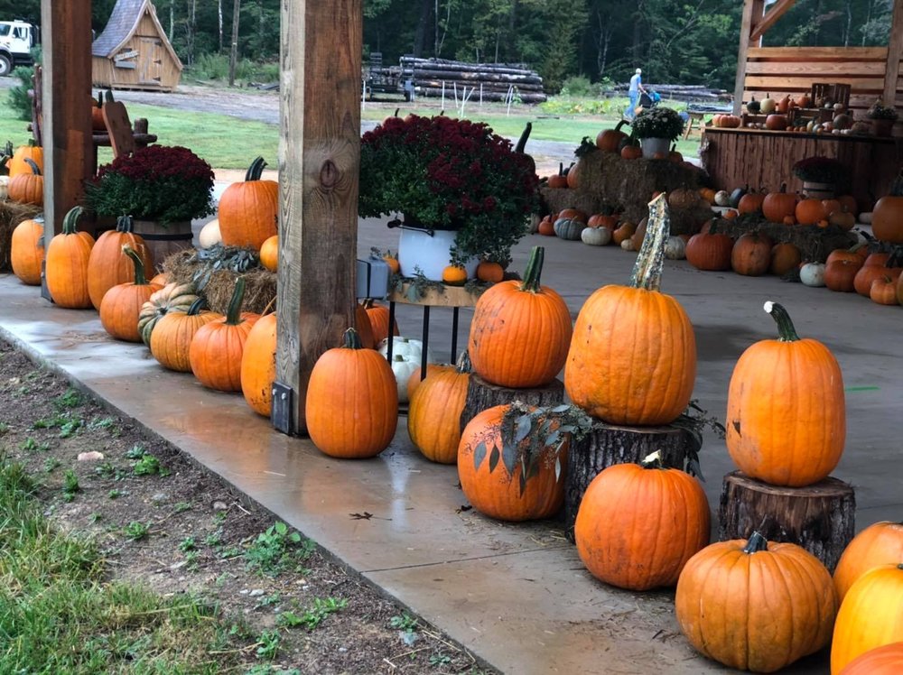 Smith's Family Fun Farm