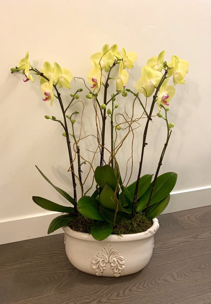 Southland Floral