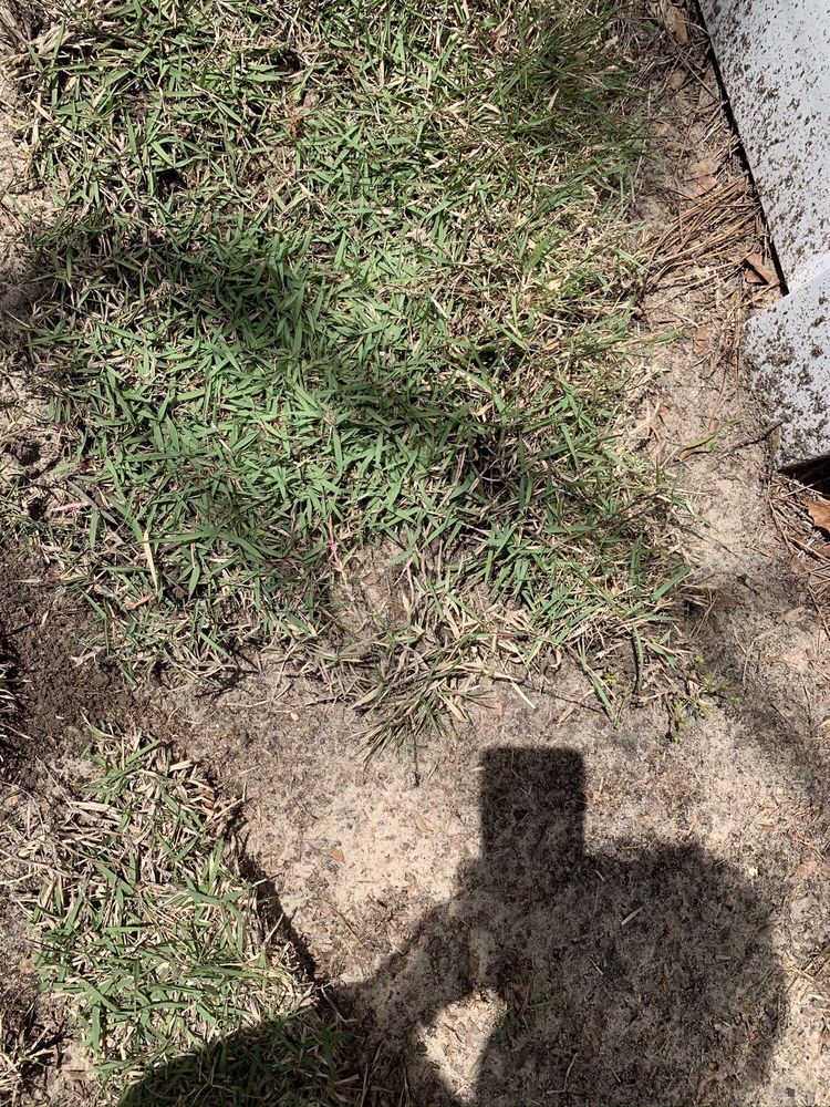 Superior Sod & Garden Supplies