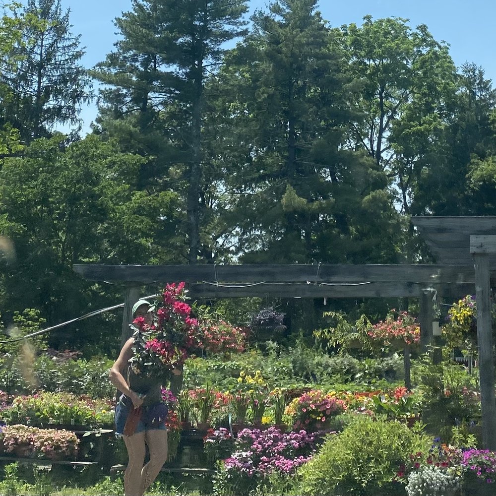 Garden Centers in South Jersey Yelp