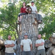 St Vrain Arbor Care Tree Services 140 Longmont Co Reinholt Tree Care