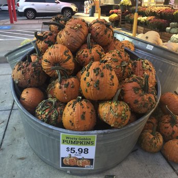 town country market 127