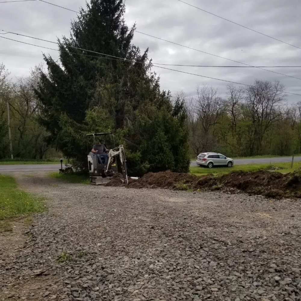 image of business Berry