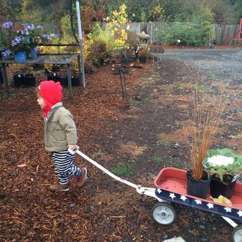 Blue Moon Garden And Nursery Temp Closed 14 Photos Nurseries Photo Of Blue Moon Garden And Nursery Spokane Wa United States Handy