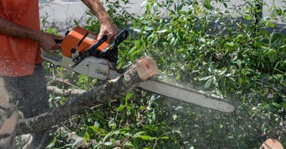 Penn West Tree Service