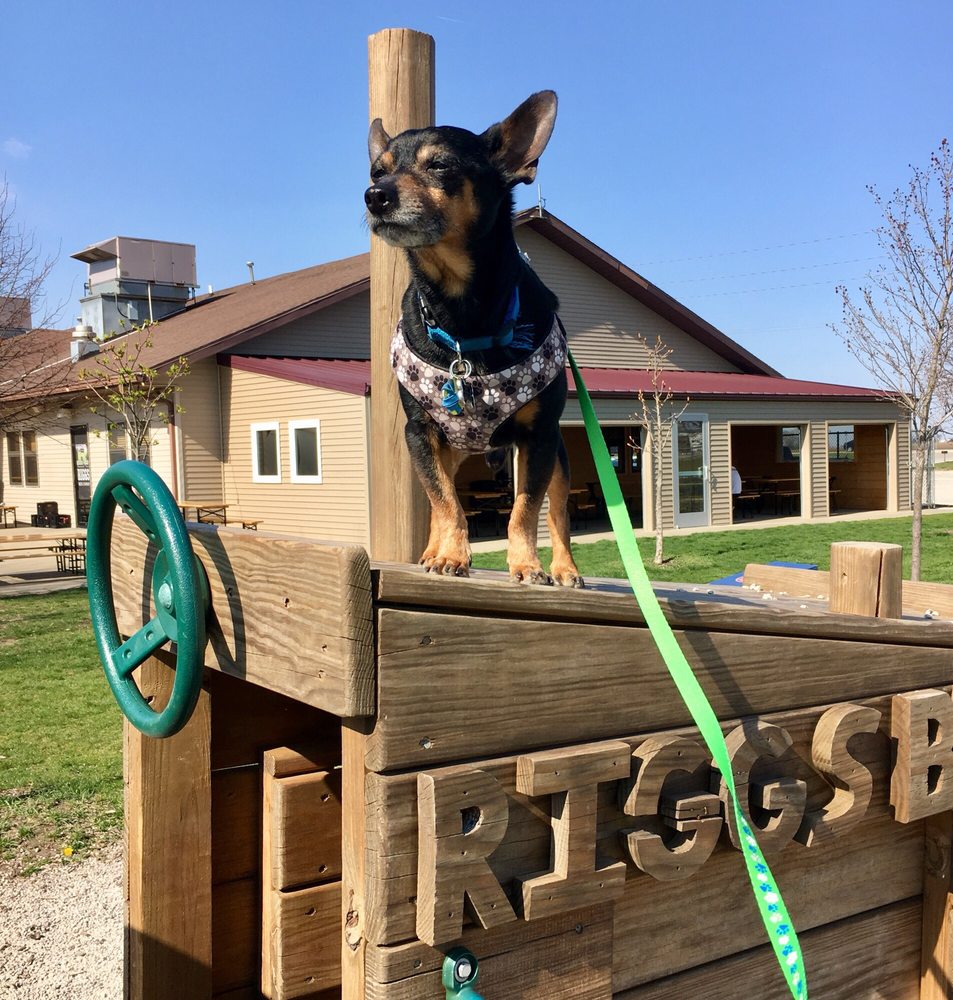 Riggs Beer Company 24 Photos & 26 Reviews Breweries 1901 S High