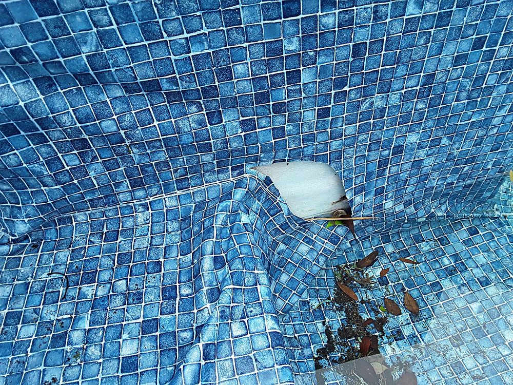 ASP - America's Swimming Pool Company of Ocala